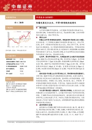 防爆电器龙头企业，外贸+新领域快速增长