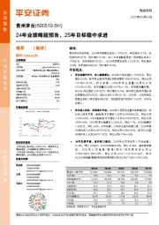 24年业绩略超预告，25年目标稳中求进