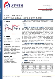 扬农化工2024年报点评:价格下滑拖累公司业绩,葫芦岛项目有望贡献增量