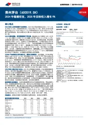 2024年稳健收官，2025年目标收入增长9%