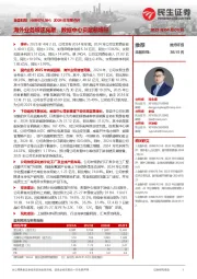 2024年年报点评:海外业务增速亮眼,数据中心贡献新增量