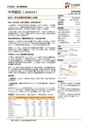 纵向一体化和横向布局渐入佳境