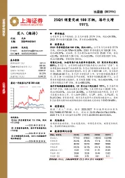 25Q1销量突破100万辆,海外大增111%