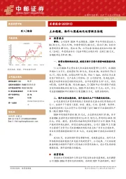 主业稳健，海外七国属地化运营渐至佳境