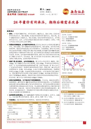 2024年报点评：24年量价有所承压，期待后续需求改善