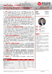 2024年年报点评:缴纳矿权出让收益+减值等拖累业绩,矿端紧张看好锡价上行