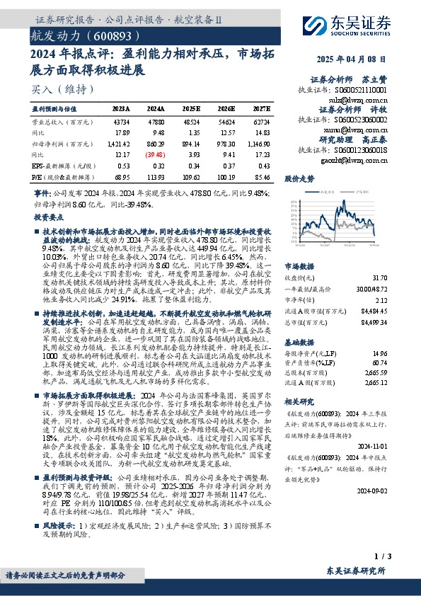 2024年报点评：盈利能力相对承压，市场拓展方面取得积极进展