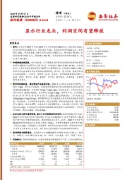2024年年报点评：显示行业龙头，利润空间有望释放
