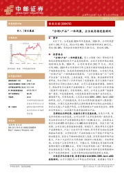 “分销+产品”一体两翼,企业级存储进展顺利