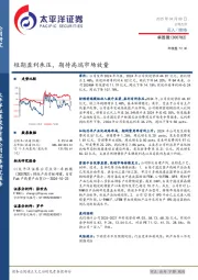 短期盈利承压，期待高端市场放量