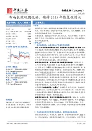 布局长效巩固优势，期待2025年恢复性增长