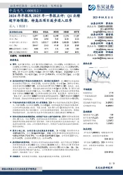 2024年年报及2025年一季报点评:Q1业绩超市场预期,特高压项目逐步进入旺季