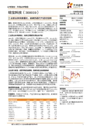 工业胶业务快速增长,硅碳负极打开成长空间