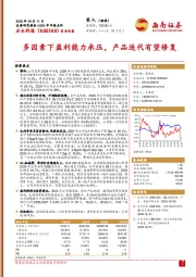 2024年年报点评：多因素下盈利能力承压，产品迭代有望修复