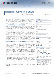 2024年年报业绩点评:业绩低于预期,高水平投入引领长期发展