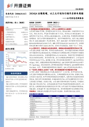 公司信息更新报告:2024Q4业绩高增,以三大计划为引领开启新车周期