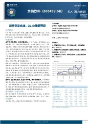 淡季势能充沛，Q1业绩超预期