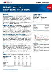 国内收入增速放缓,海外业务增速亮眼