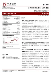 年报点评:公司保持较快增长,盈利增强