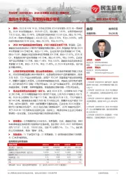 2024年年报及2025年一季报点评:盈利水平承压,年度销量稳步增长