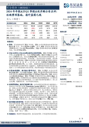 2024年年报&25Q1季报&收并购公告点评：收购事项落地，海外蓝图已现
