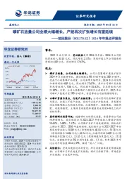2024年年报点评报告:磷矿石放量公司业绩大幅增长,产能再次扩张增长有望延续