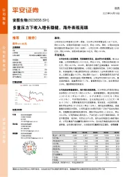 多重压力下收入增长稳健,海外表现亮眼