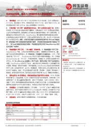 2024年年报点评:扣非利润高增,国内AI编程软件龙头有望加速成长
