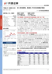 公司信息更新报告:收入实现高增,高端化+平台化战略稳步推进
