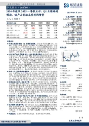 2024年报及2025一季报点评:Q1业绩略超预期,镍产品贡献主要利润增量