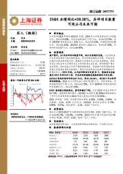 25Q1业绩同比+28.38%,在研项目数量可观公司未来可期