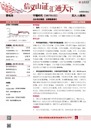 龙头地位稳固,业绩稳健增长