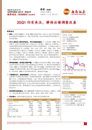 2025年一季报点评：25Q1仍有承压，静待后续调整改善