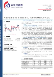 产能扩张支撑PA6业务持续增长,战略布局PA66及特种尼龙