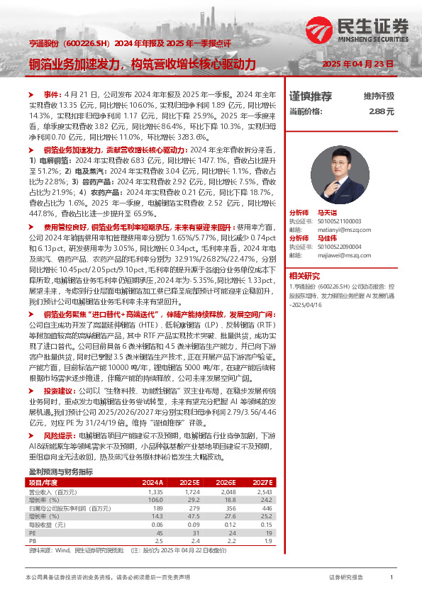 2024年年报及2025年一季报点评：铜箔业务加速发力，构筑营收增长核心驱动力