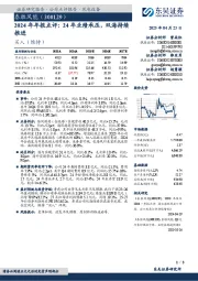2024年年报点评:24年业绩承压,双海持续推进