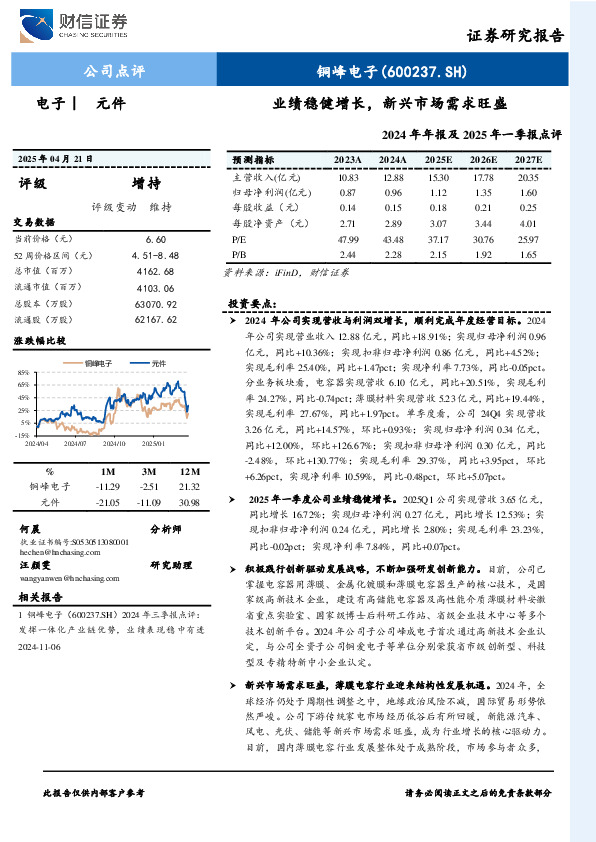 2024年年报及2025年一季报点评：业绩稳健增长，新兴市场需求旺盛