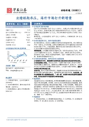 业绩短期承压,海外市场打开新增量