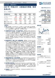 2025年一季报点评:业绩超我们预期,新游表现出色