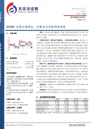 2025Q1业绩大幅增长，内蒙项目贡献明显增量