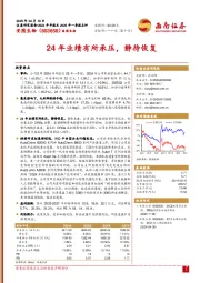 24年业绩有所承压,静待恢复
