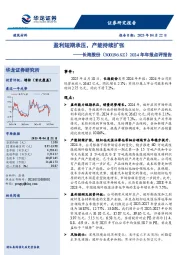 2024年年报点评报告:盈利短期承压,产能持续扩张