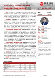 2024年年报和2025年一季报点评:业绩符合预期,负极业务盈利改善