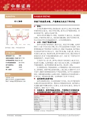 价格下跌拖累业绩，产能释放与成本下降并进