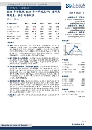 2024年年报及2025年一季报点评:海外光储起量,在手订单较多