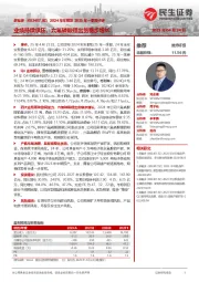 2024年年报及2025年一季报点评:业绩持续承压,六氟磷酸锂出货稳步增长
