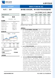 2024年年报及2025年一季报点评:盈利能力表现亮眼,新兴战略市场实现高速增长