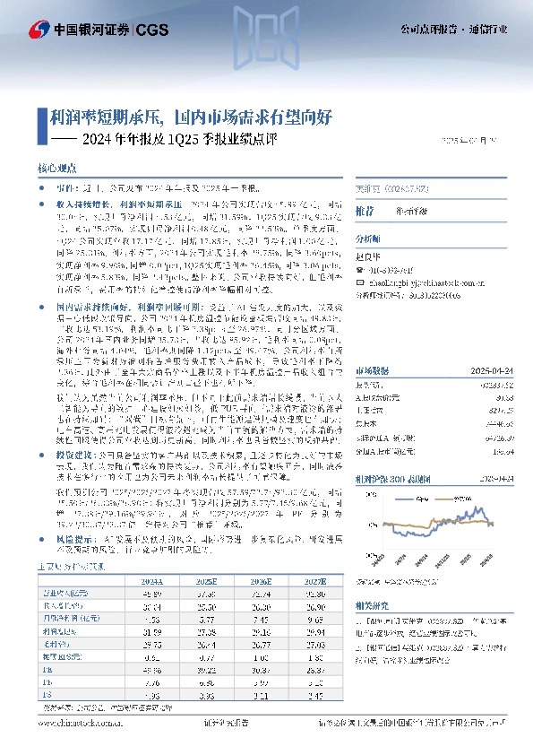 2024年年报及1Q25季报业绩点评：利润率短期承压，国内市场需求向好