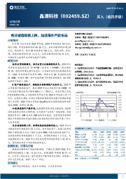 充分减值轻装上阵,加速海外产能布局