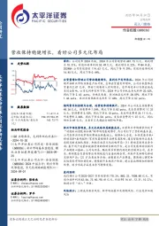 营收保持稳健增长，看好公司多元化布局